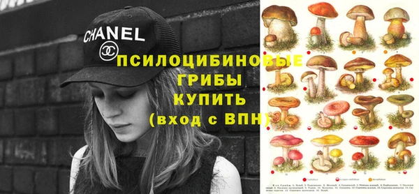 эйфоретик Алексеевка
