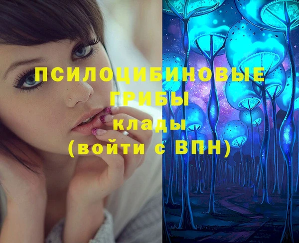 эйфоретик Алексеевка