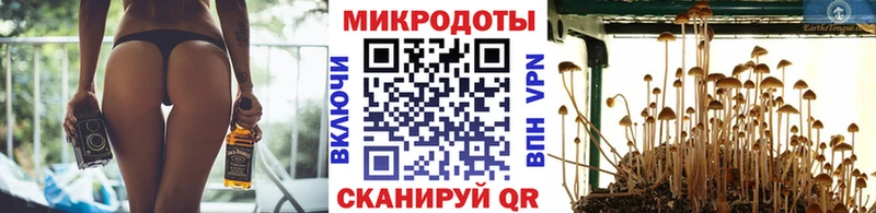 Галлюциногенные грибы Psilocybe  MEGA как войти  Багратионовск  купить  цена 