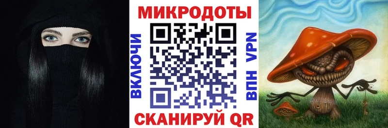 Галлюциногенные грибы Psilocybine cubensis Багратионовск